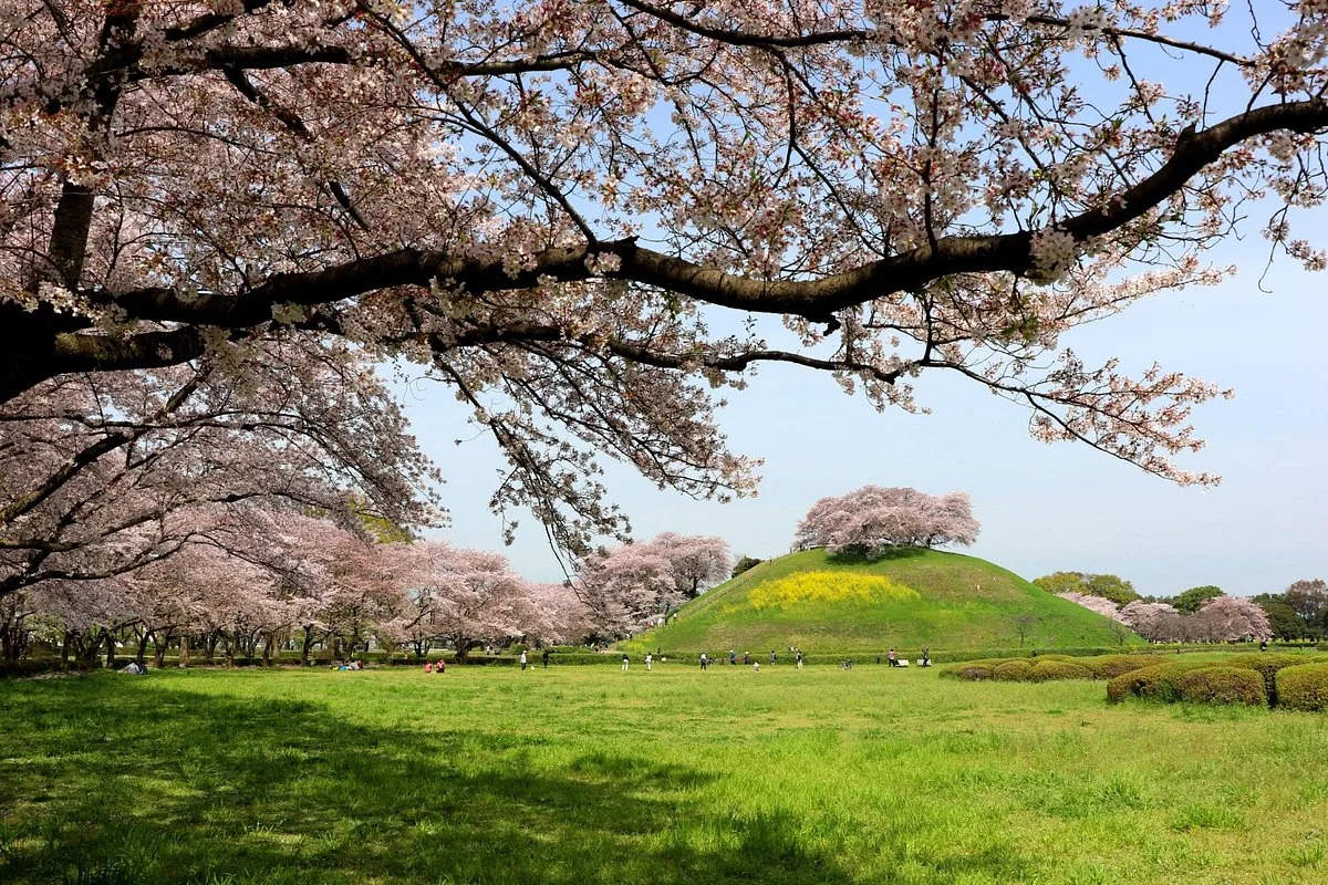 Sakitama Kofun Park
