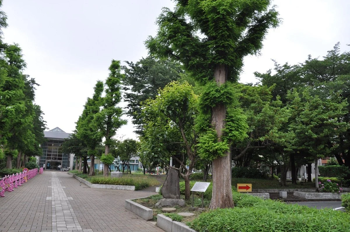 Mizonokuchi Ryokuchi
