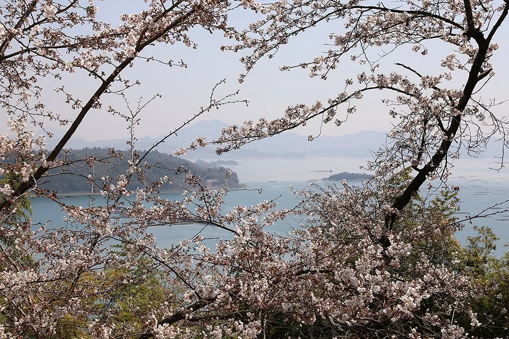 Shofukujiyama Park