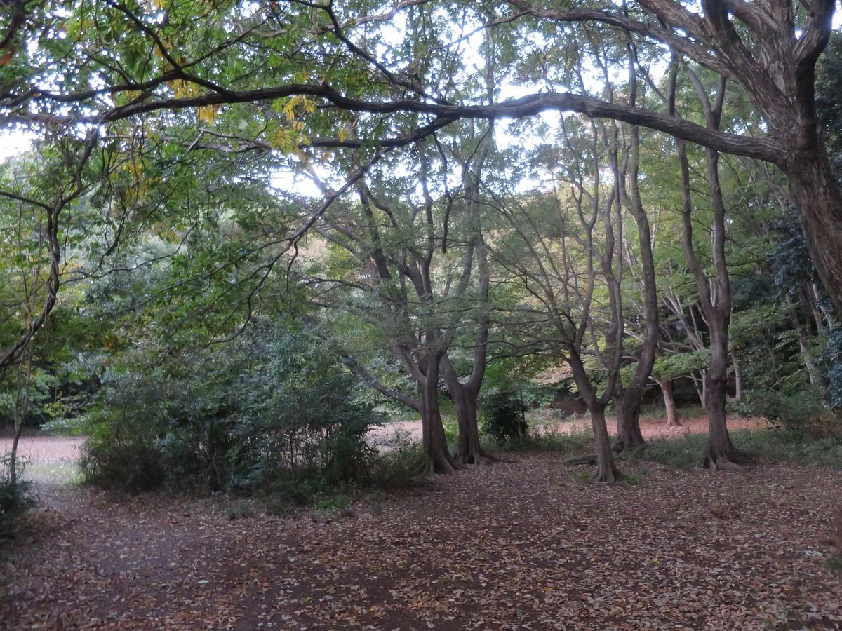 Kaniyama Camping Ground