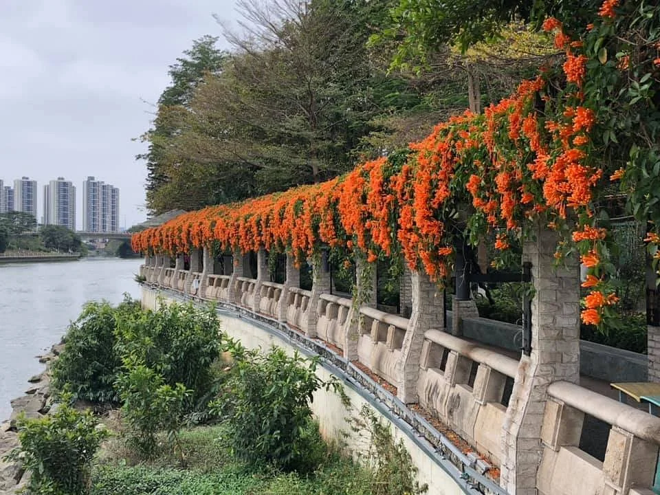 Jinaozhou Theme Park