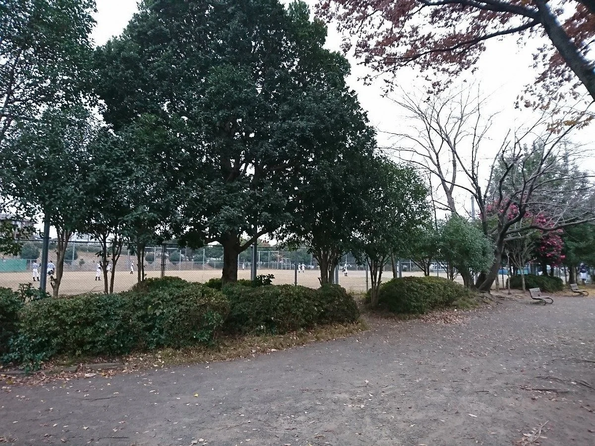 Katahira Park