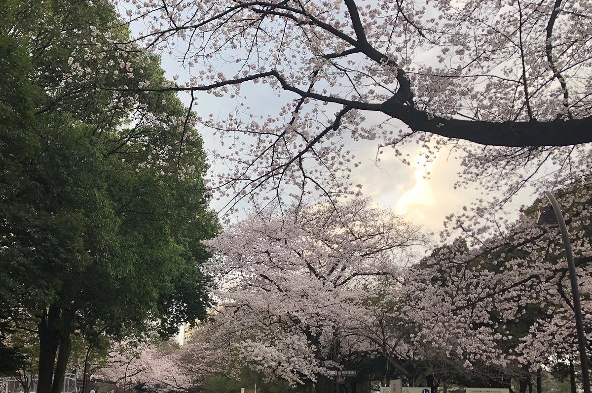 Komazawa Olympic Park