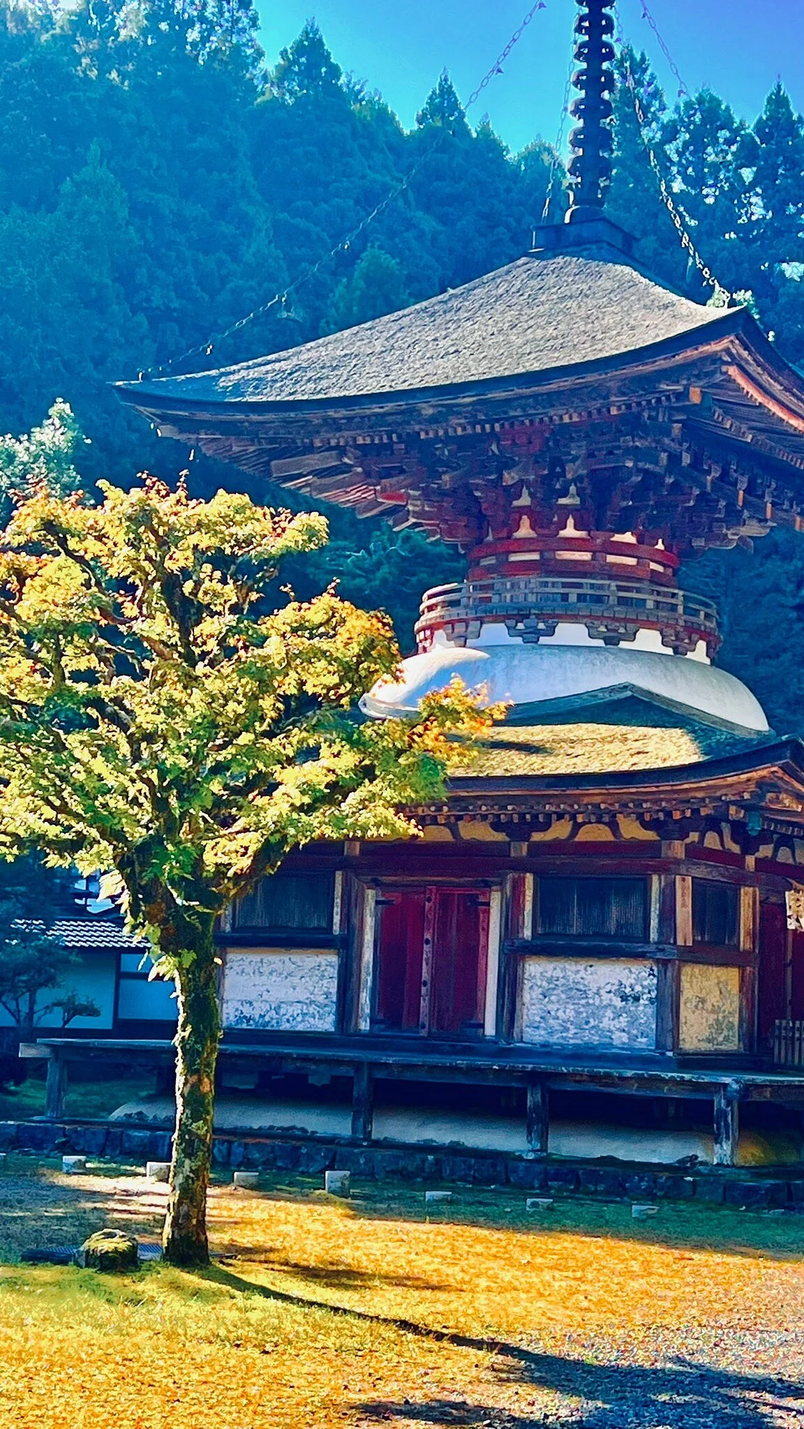 Kongosanmaiin