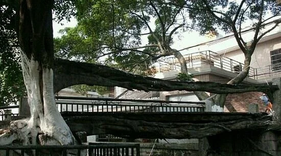 Shusheng Bridge