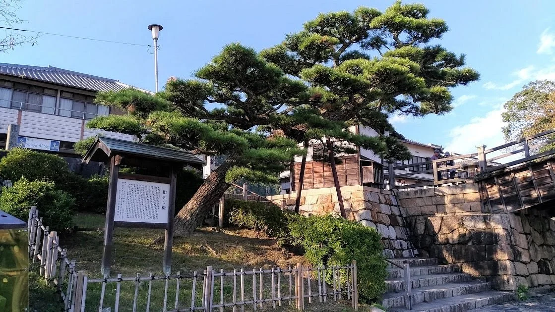 Yari Daoshi Matsu