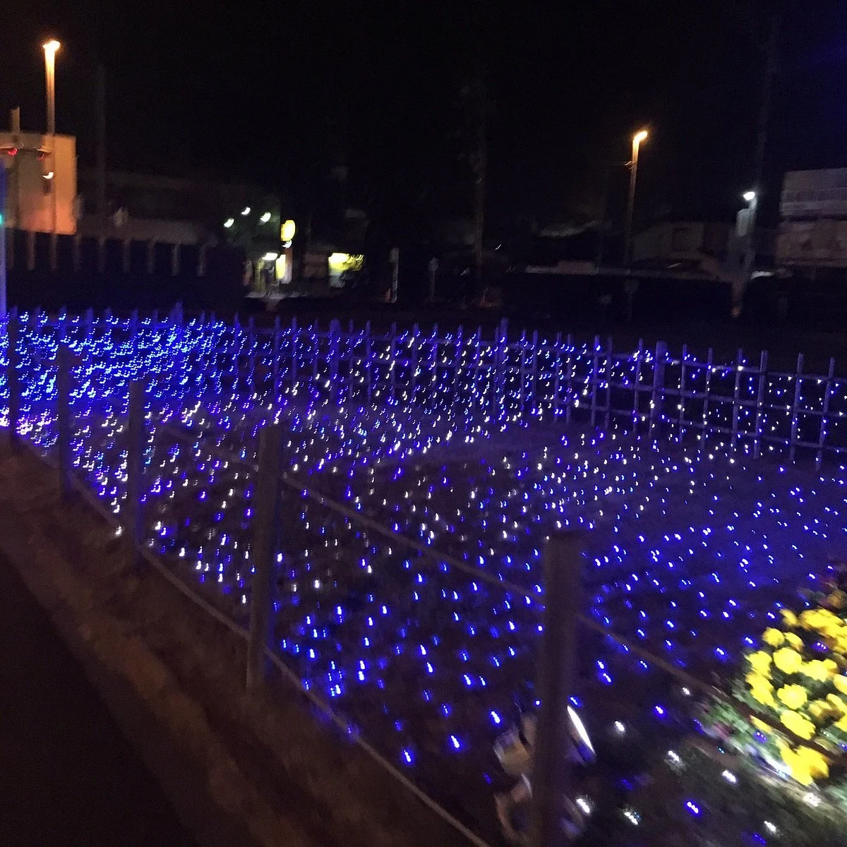 Erumi Park