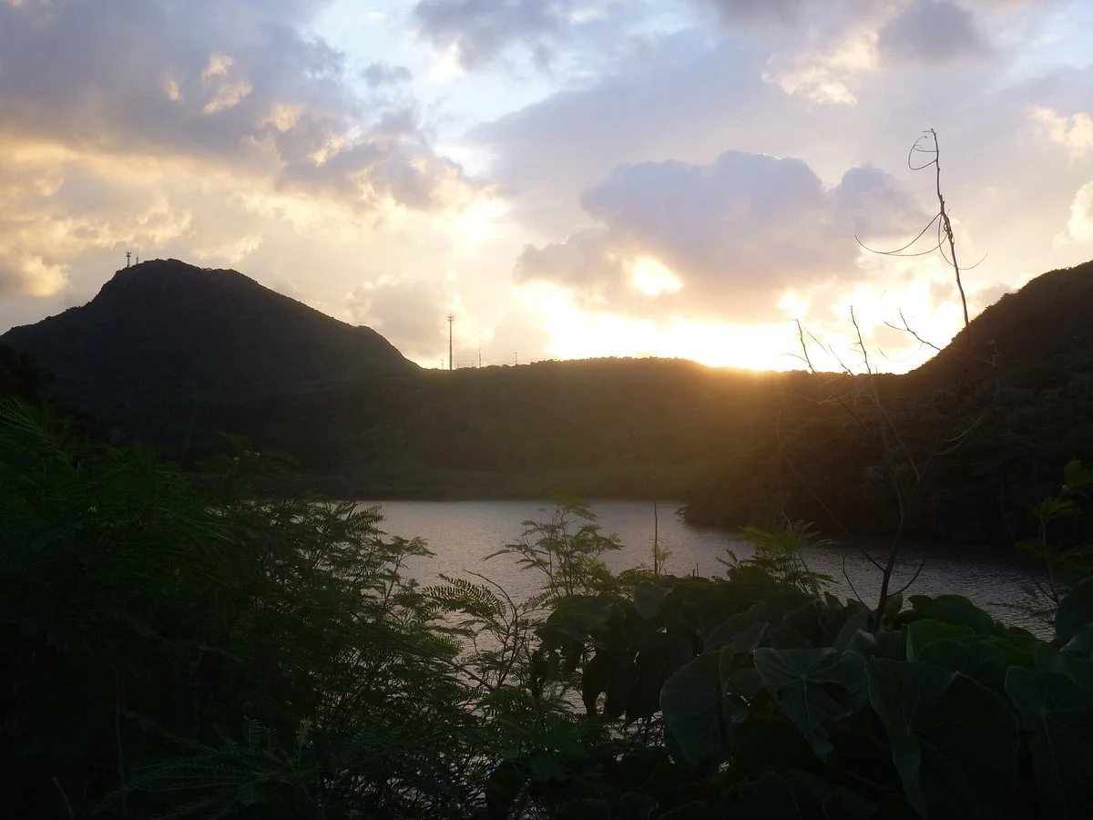 Kubera Mituu Wetland