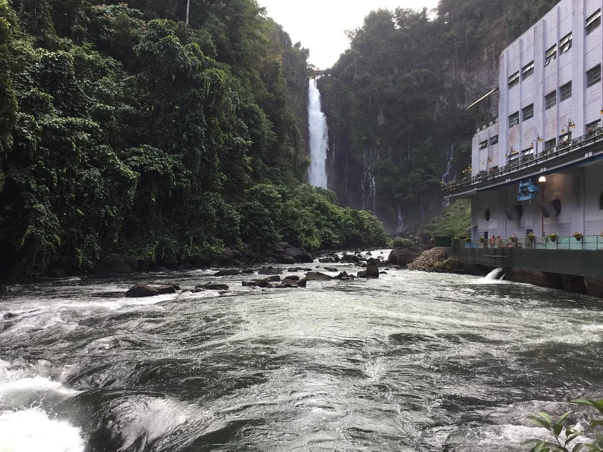 NPC Nature's Park
