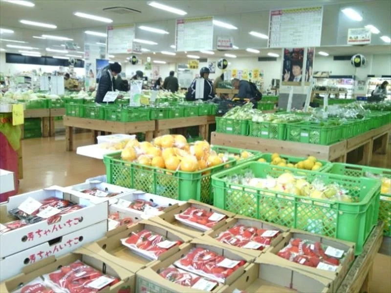 You You Kumamoto