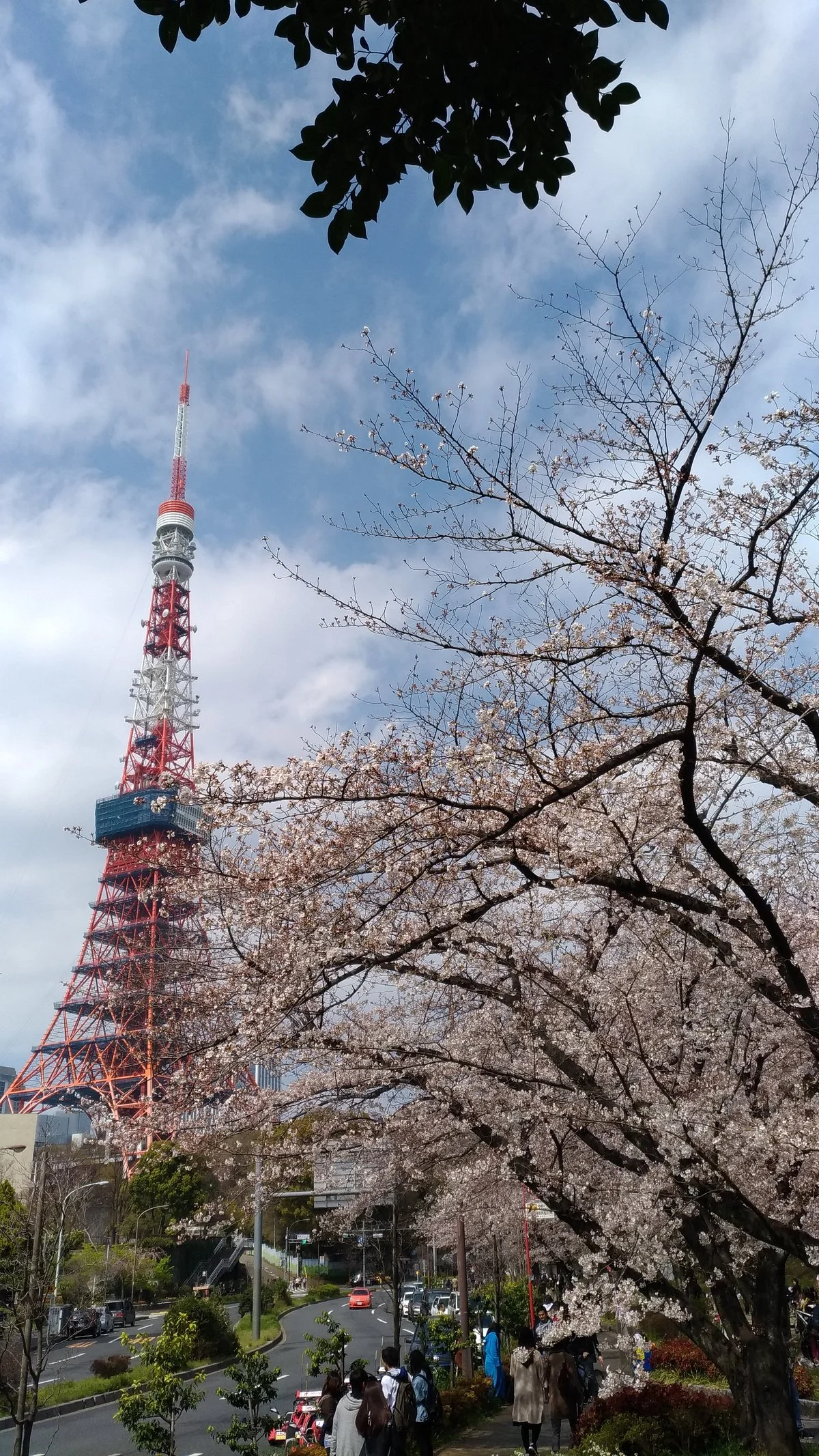 Shiba Park