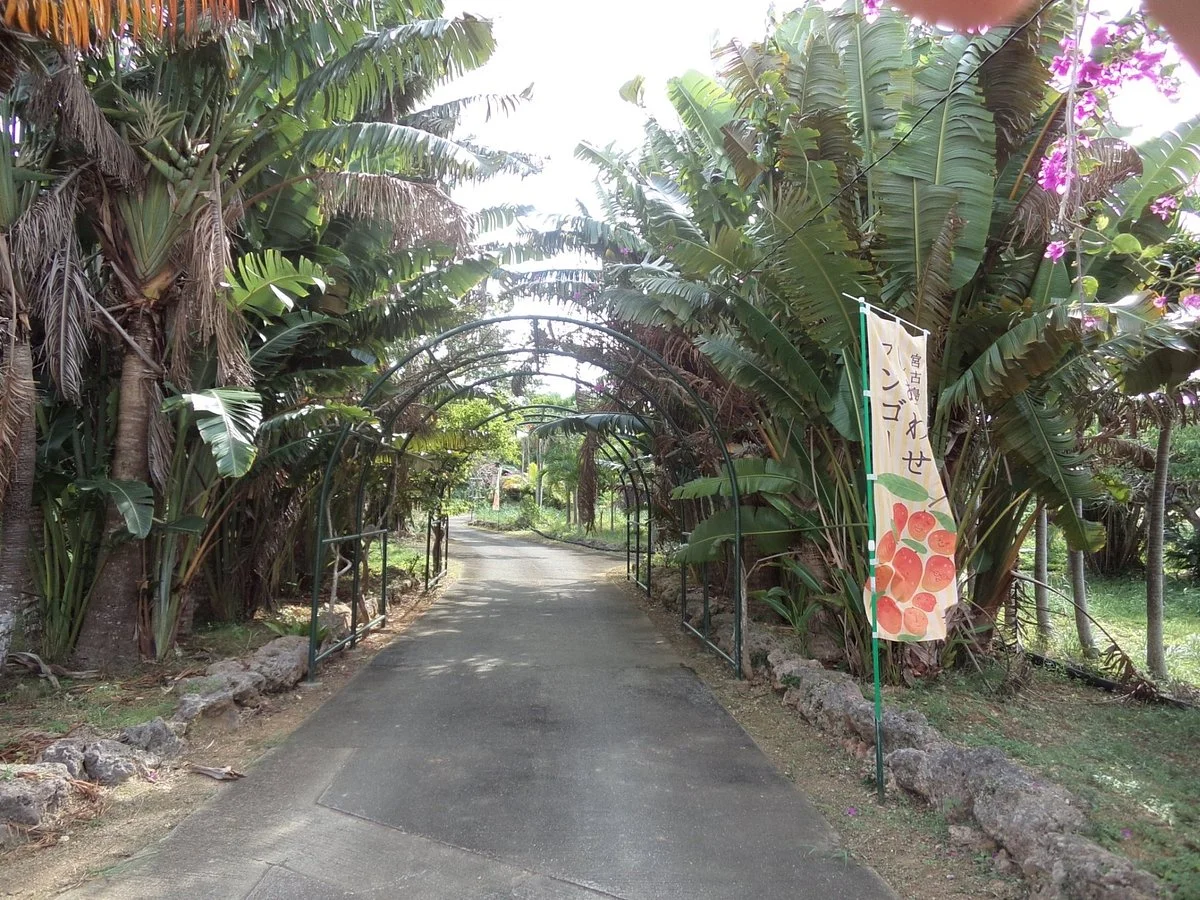 Tropical Fruits Park