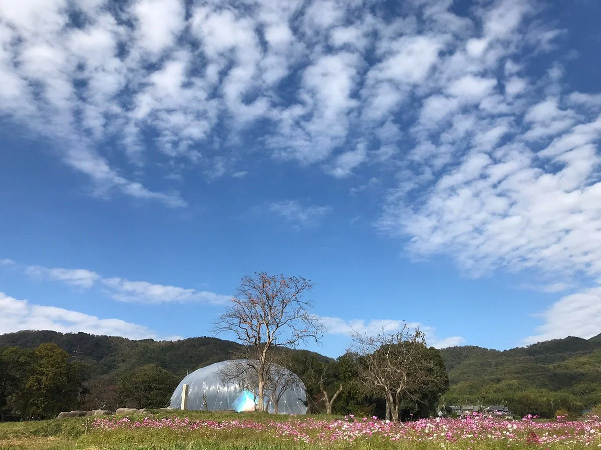 Remians of Kunikyu Palace