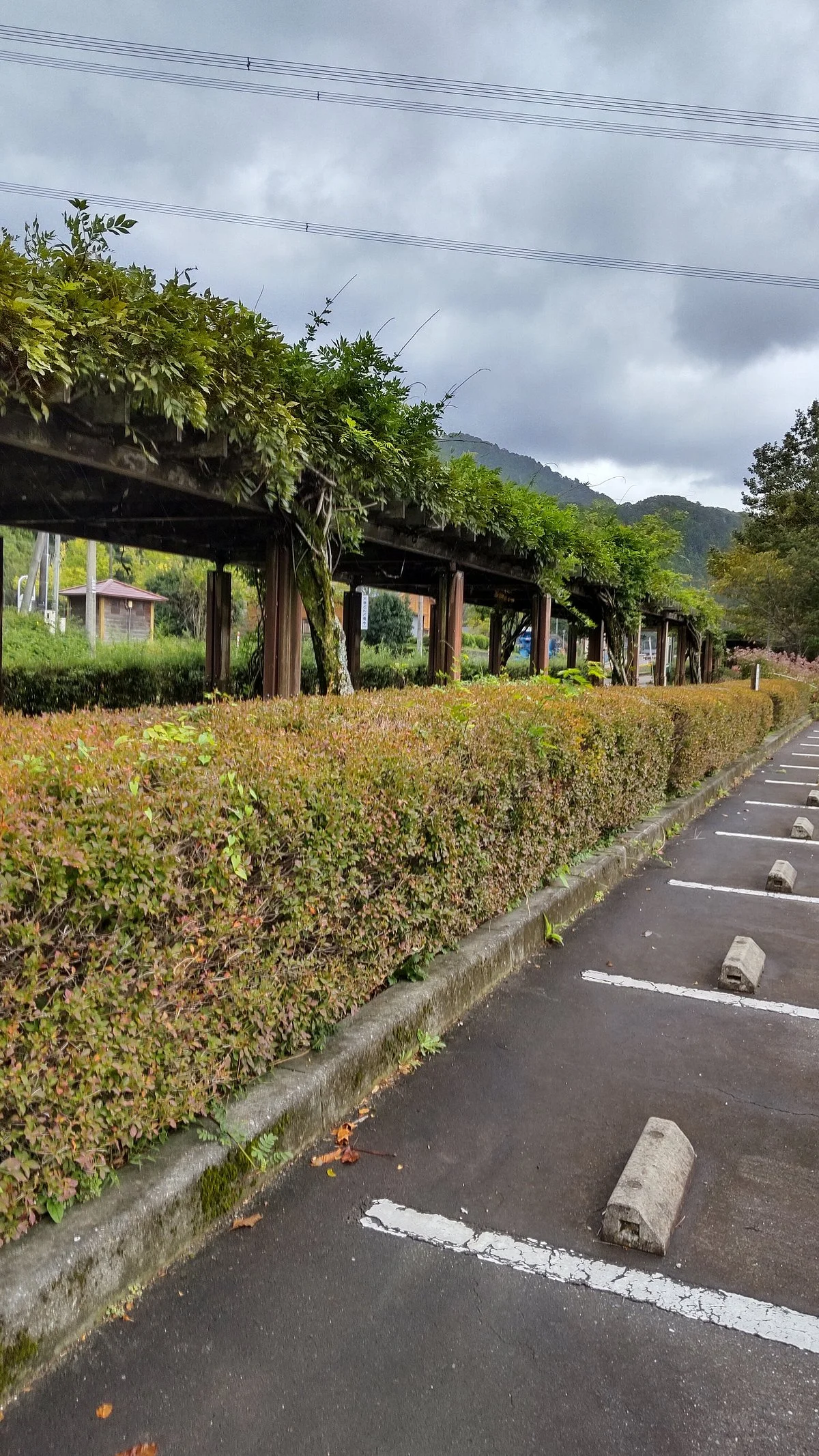 Hakusanroku Theme Park Yoshioka Enchi