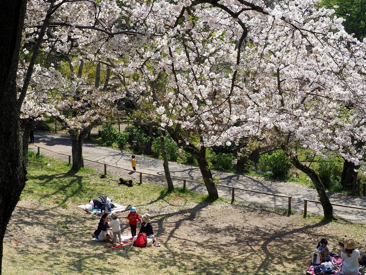 Daibutsukiritoshi