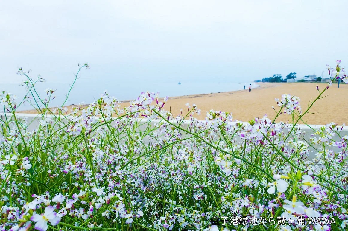 Shirako-ko Ryokuchi