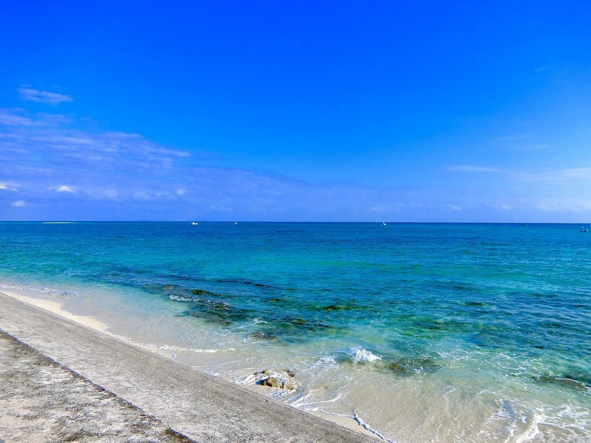 Ojima Island