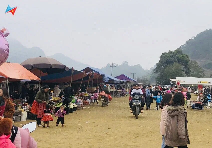 Pa Co Market