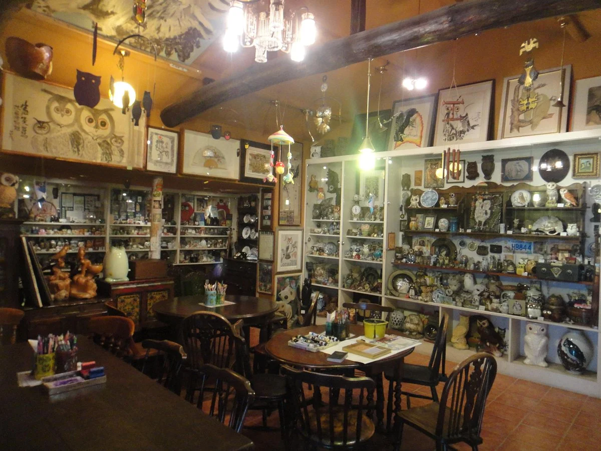 Owl Museum