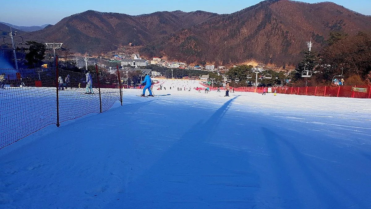 Jisan Forest Resort
