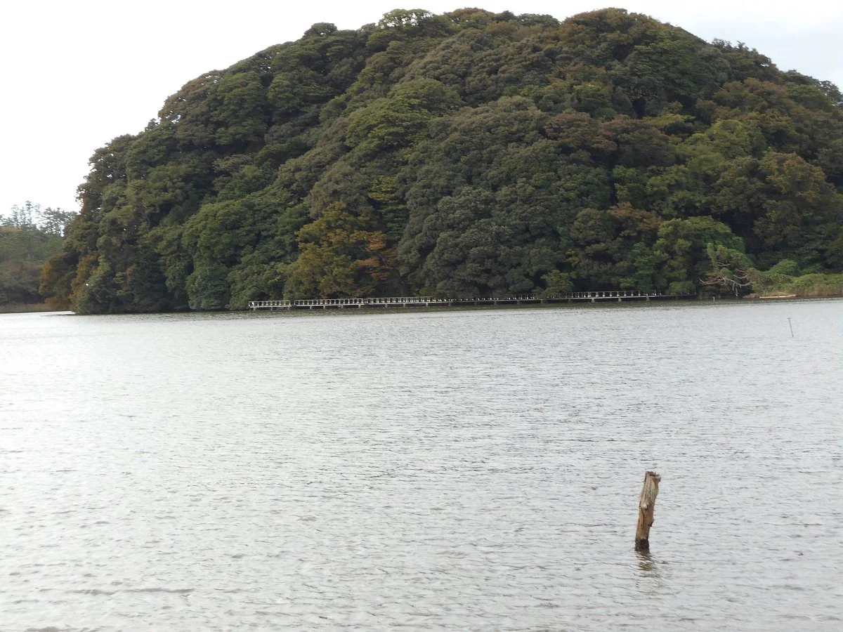 Kashima Forest