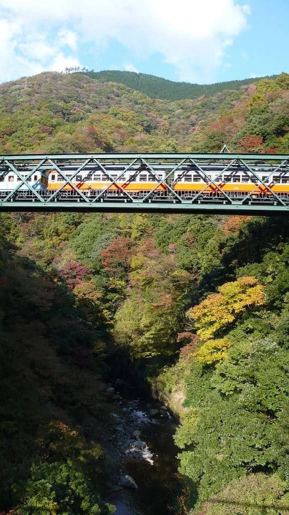 Mt. Sengen (Hakone-machi)