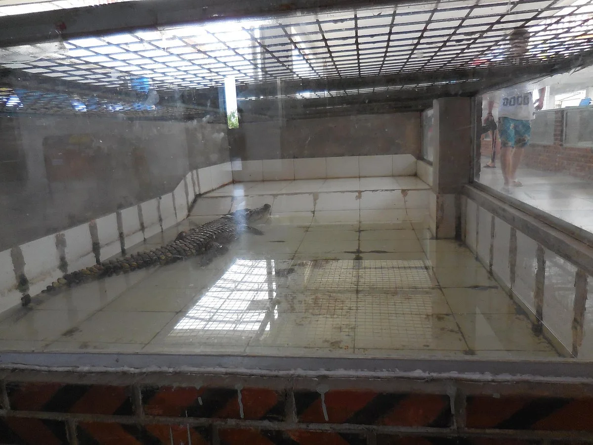 Nanshun Crocodile Park