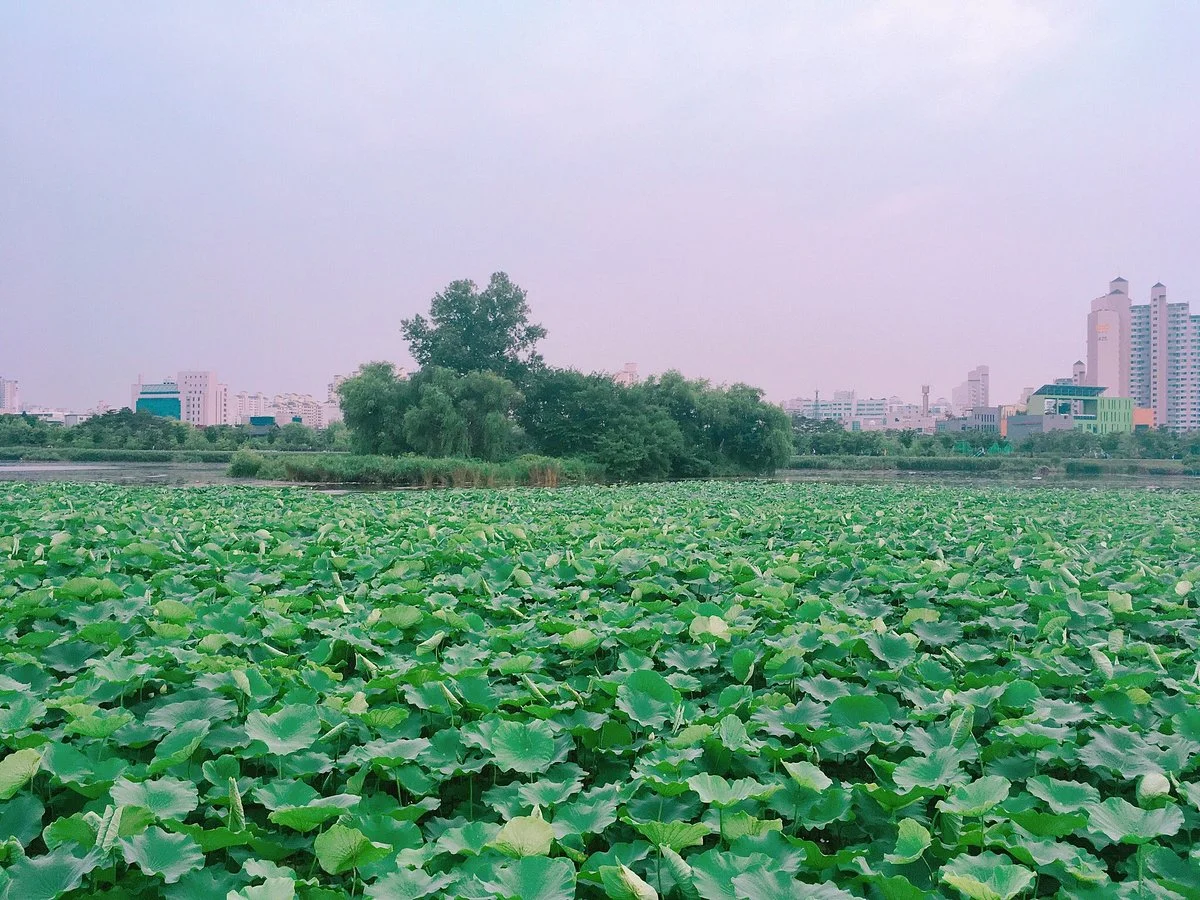 Mansuk Park