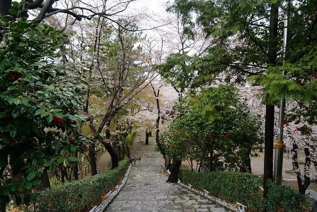 Hakseong Park