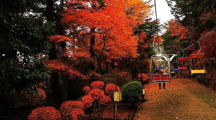 Hachioji Matsuki Park Tennis Court