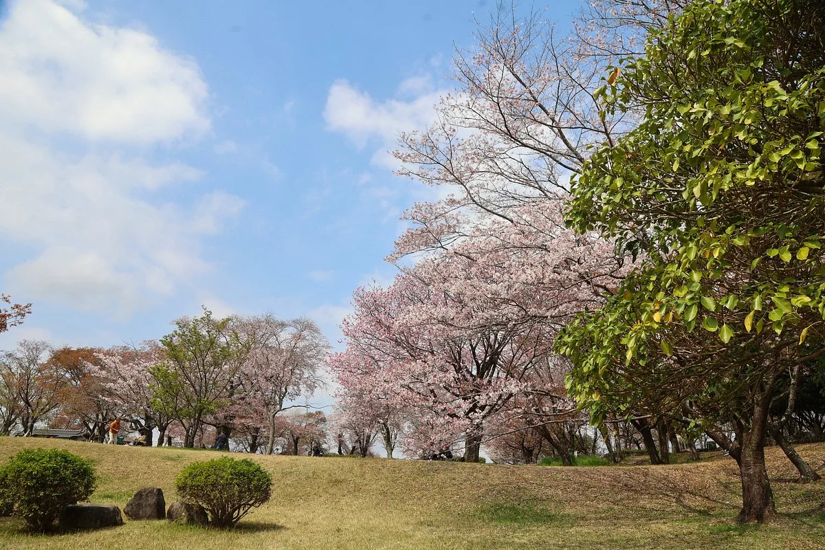 Isobe Sakuragawa Park