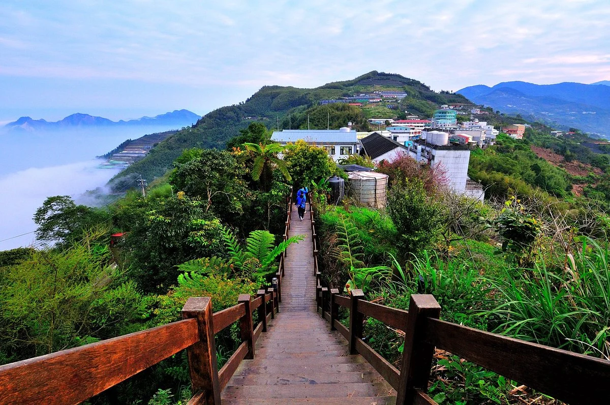 Alishan Long Ding Trail