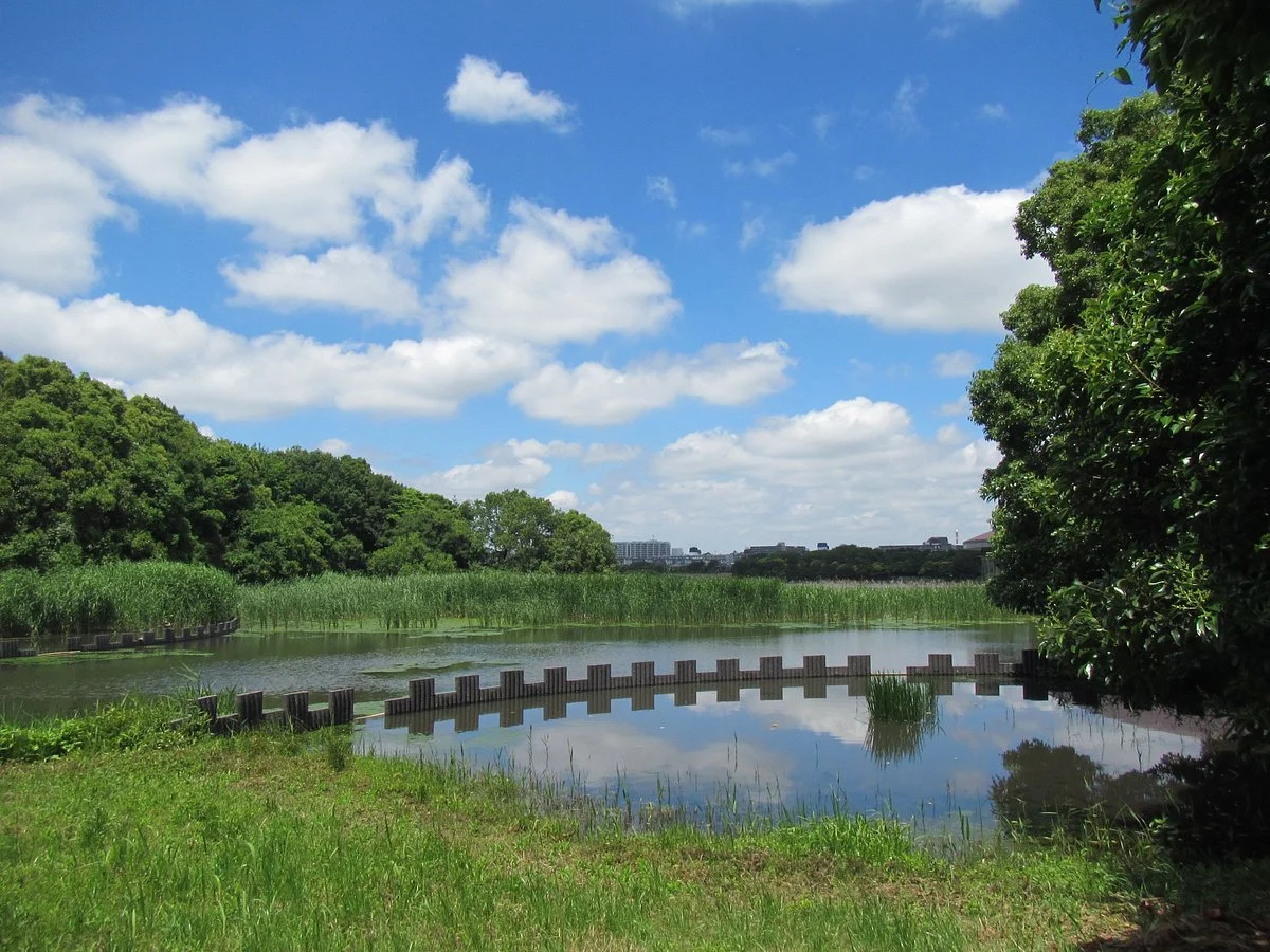 Yatsu Tidal Flats