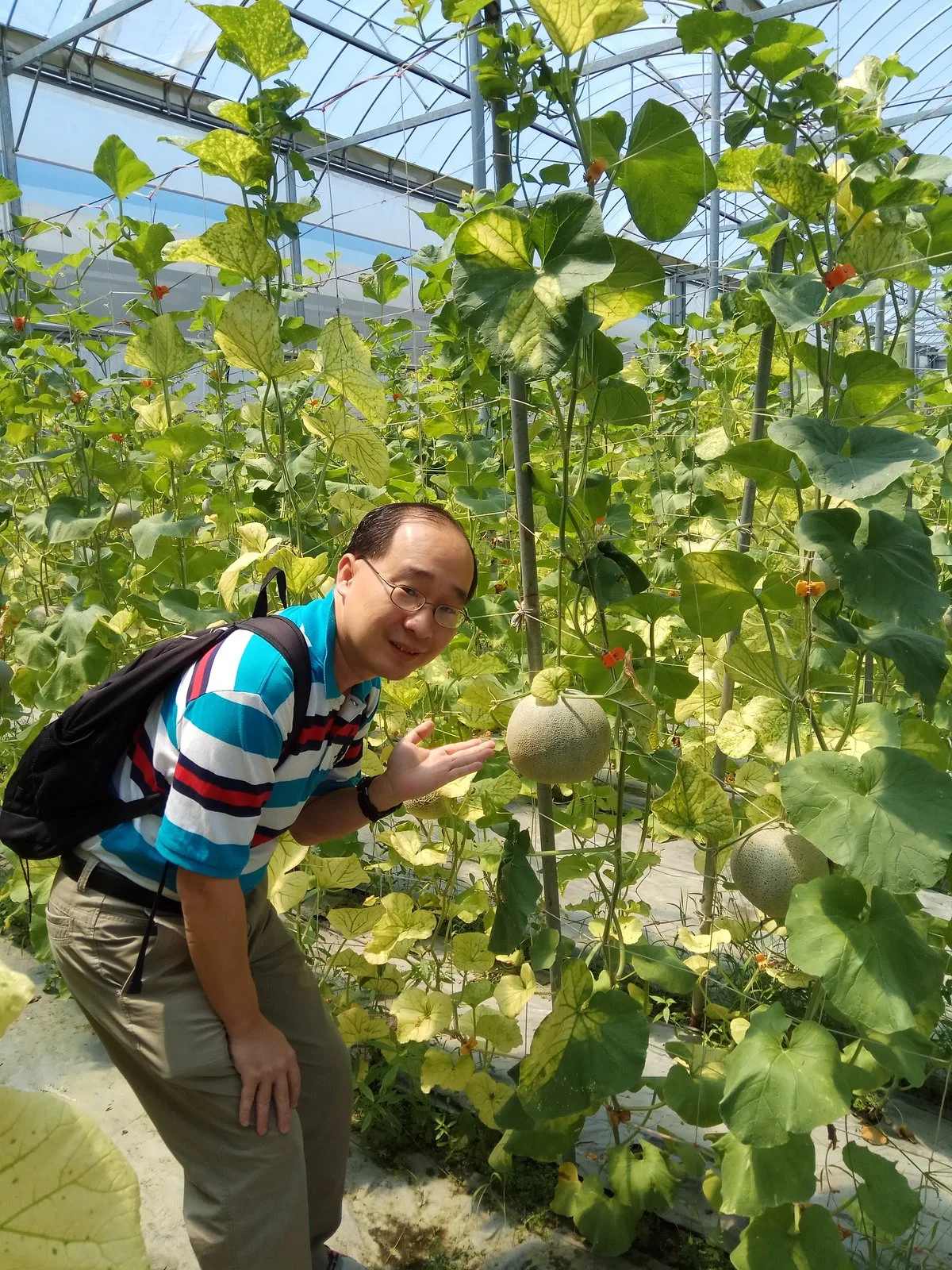 Good Machi Farm