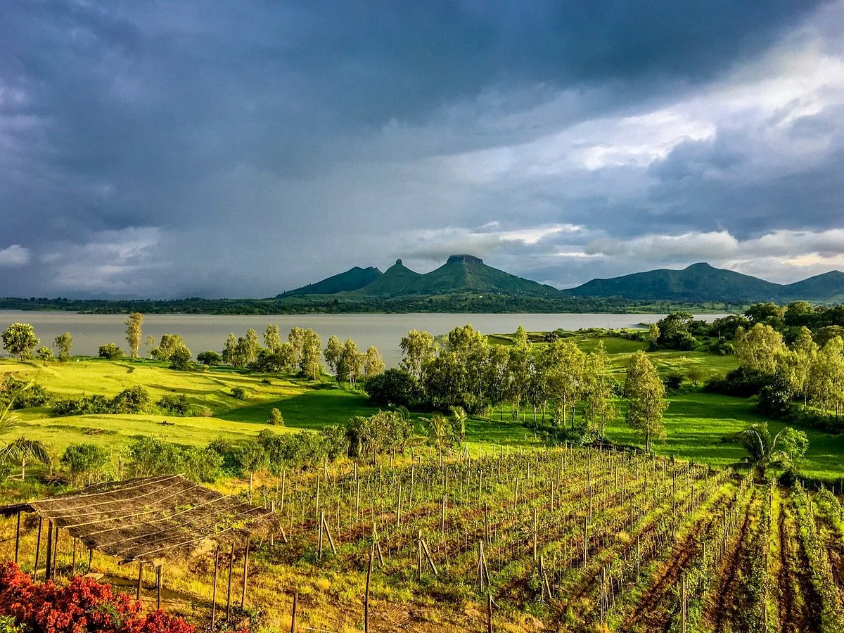 Vallonne Vineyards