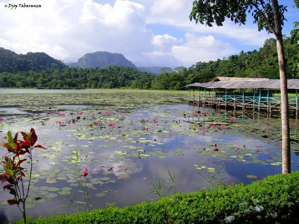 Siburan Rain Forest