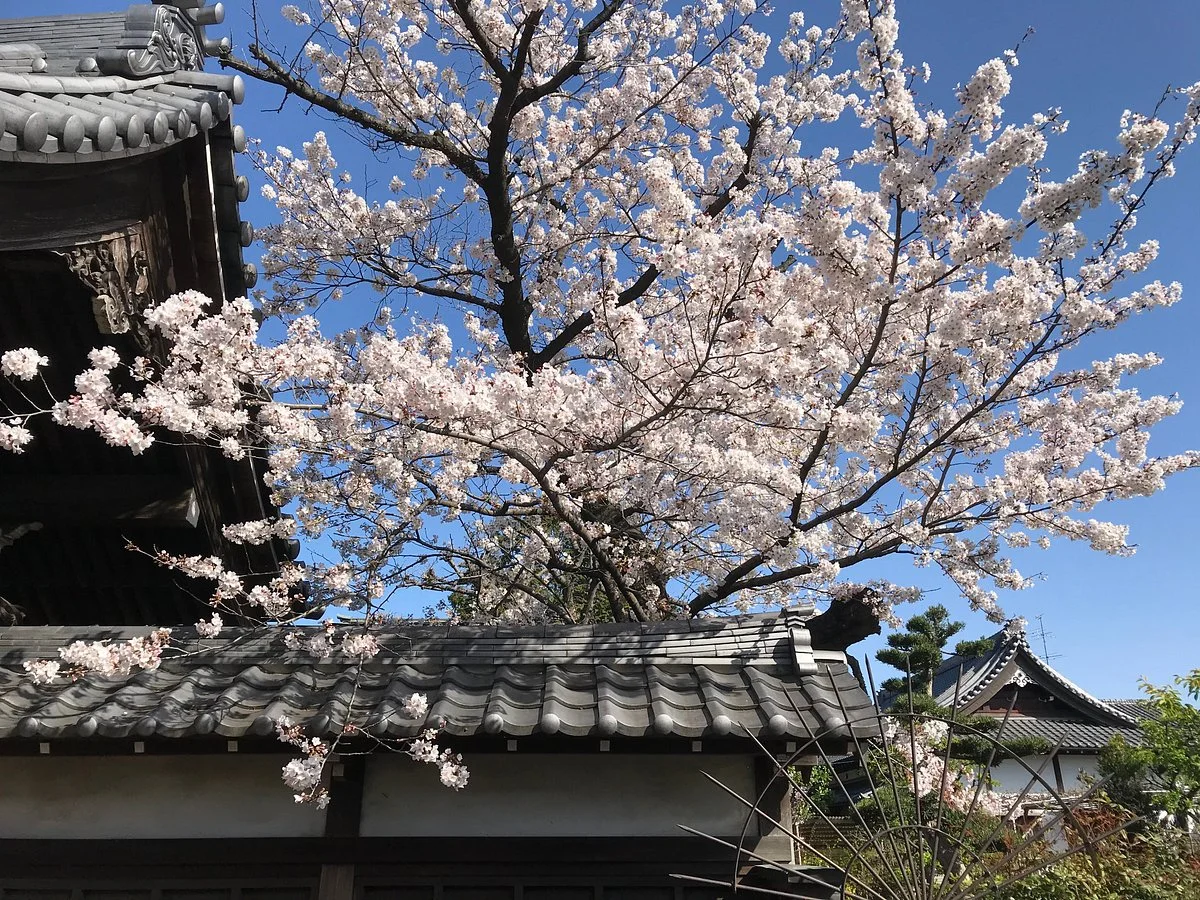 Sentaku-ji Temple