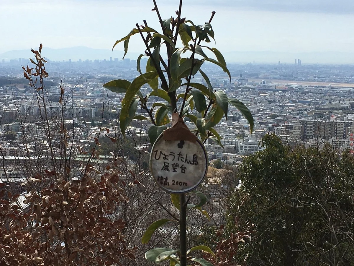 Hyotanjima Viewing Platform