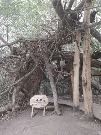 Akesu Tianshan Shengmuyuan
