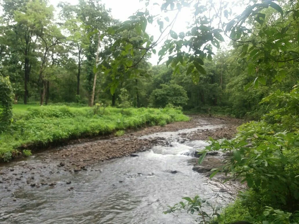Tansa Dam