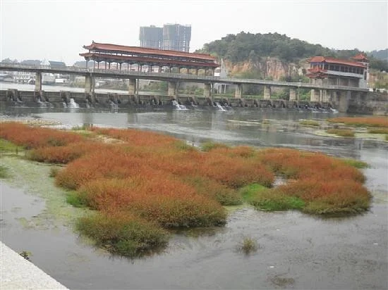 Yichun Wetland Park