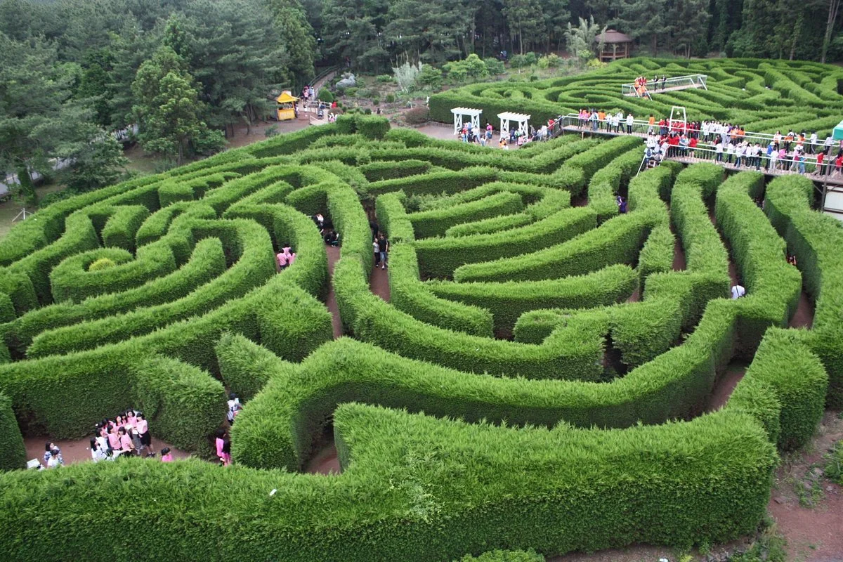 Jeju Kimnyoung Maze Park