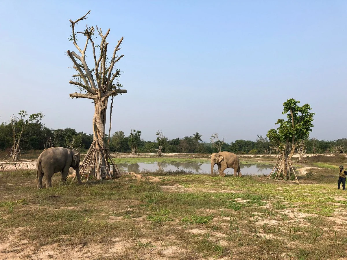 Wildlife Friends Foundation Thailand