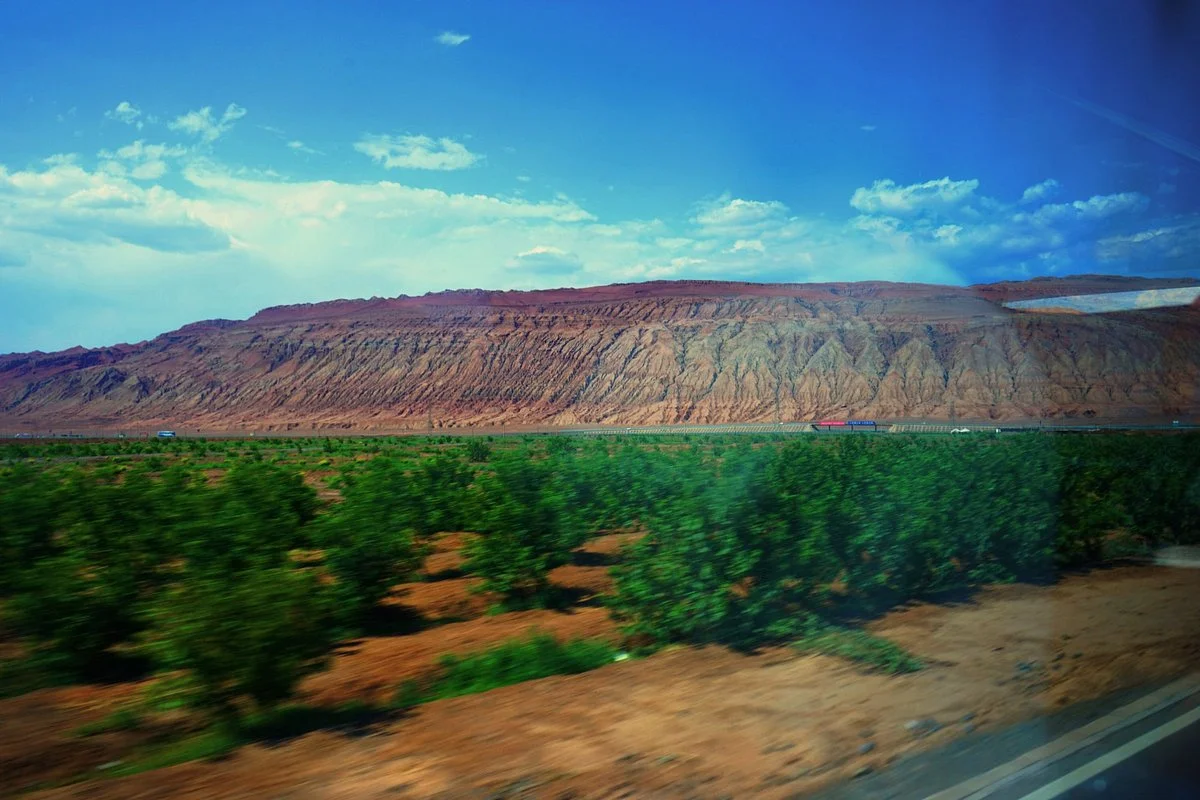Grape Valley