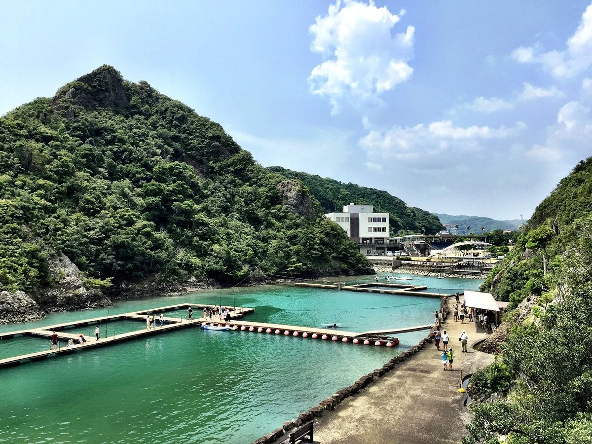 Taiji Whale Museum