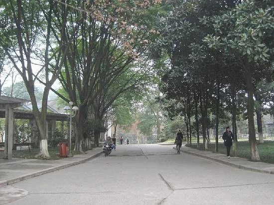 Chongqing Science and Technology College