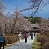 Daian-ji Temple