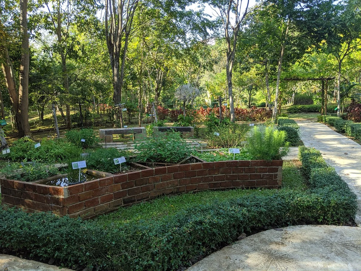 Botanical Garden Mae Fah Luang University