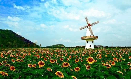Jocund Farm