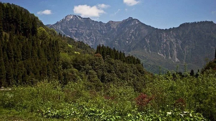 Jiguanshan Scenic Resort